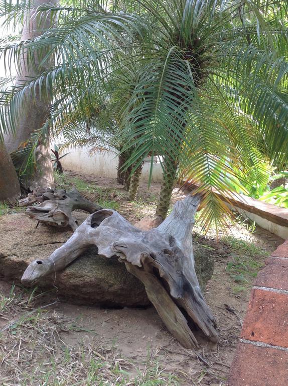 فندق زيبوليتفي  Casa Flor De Mar المظهر الخارجي الصورة