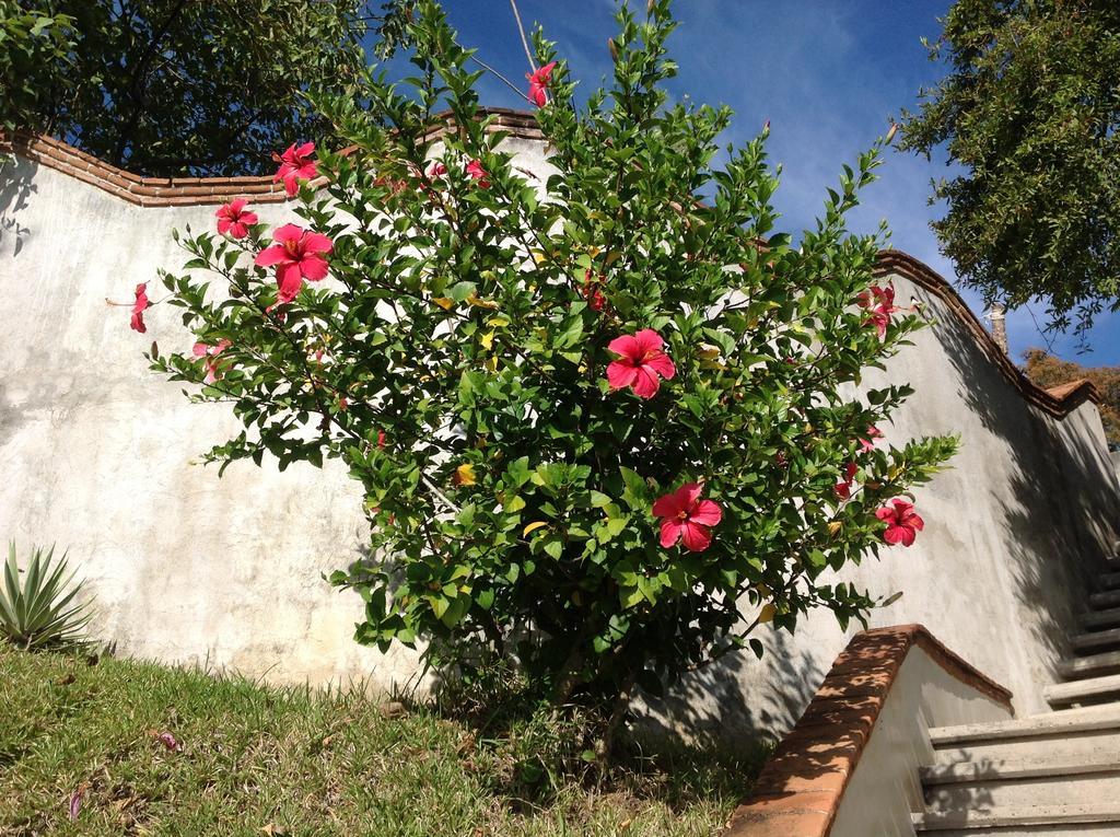 فندق زيبوليتفي  Casa Flor De Mar المظهر الخارجي الصورة